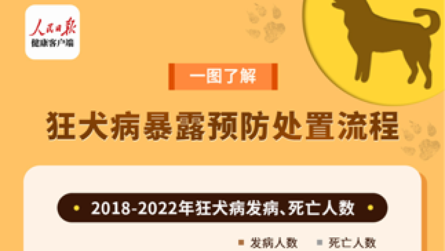 揭秘狂犬病：一例死亡案例与狂犬病暴露预防处置流程详解