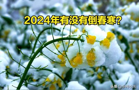 2024年：真正的倒春寒是否已经到来？三九天天气预示着什么？从古至今的老祖宗经验告诉你答案！