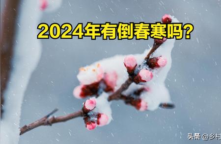 何时迎来2024年的倒春寒？这取决于您所在地的气象条件