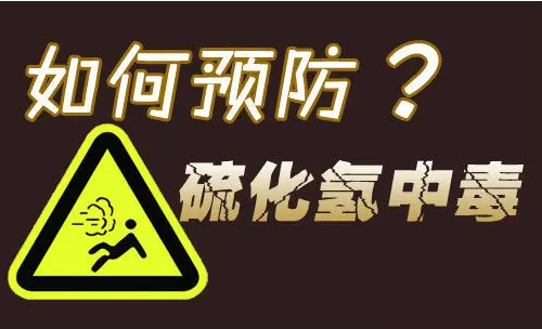 "专业网站预警：浓烈臭鸡蛋气味可能导致7人意外身亡！"

"谨防恶臭鸡蛋的毒性危害！专业人员提醒注意！"