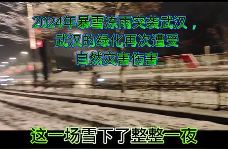 2024年新年首场武汉暴雪的冰雪之灾：立春来临，严寒肆虐与冰雹交织