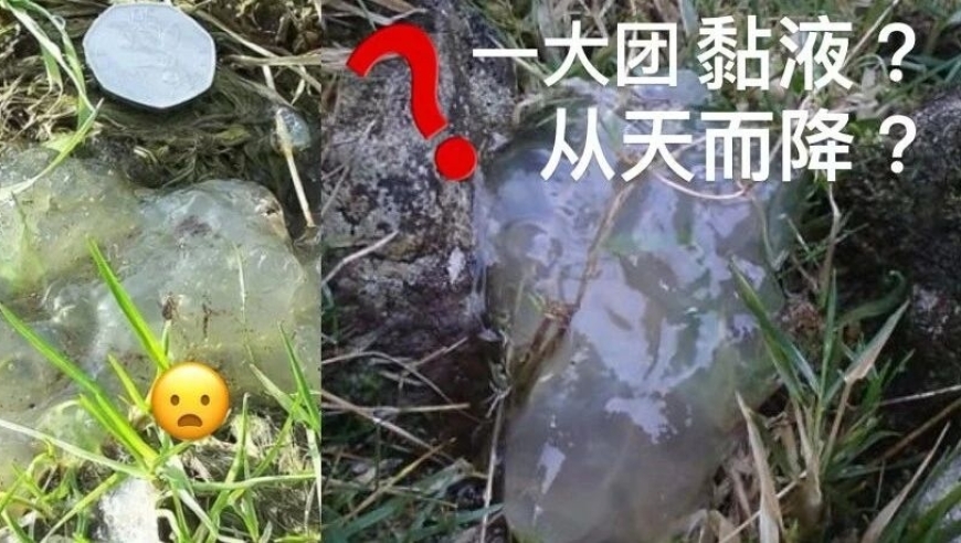 究竟什么超自然现象让全世界下起了一堆堆黏稠的神奇液体？揭秘这些奇妙物质：一种令人惊奇的现象