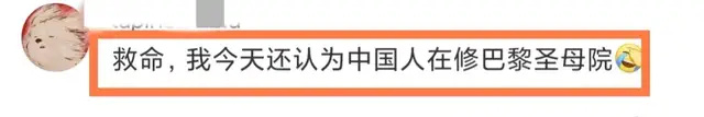 "猫杯！法国基建队修建巴黎圣母院谣言破解，真实年龄和履历尚待证实"