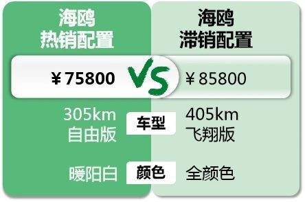 "比亚迪海鸥销量颇高，但为何库存却一直爆满？这是为何?"