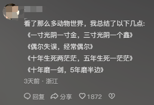 "00后或将接管《动物世界》？网友：别让经典被过度解读"