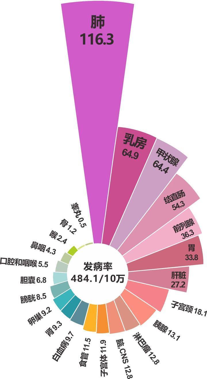 "浙江省发布最新癌谱：肺癌仍是首要威胁，胰腺癌排名上升至第十位"