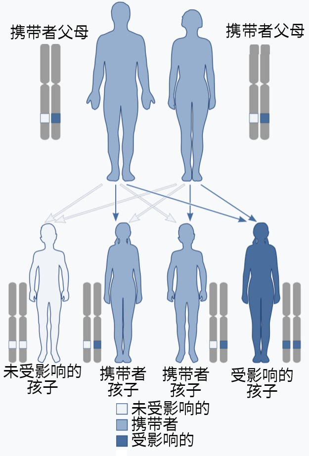 "章泽天喝咖啡手抖与帕金森病关系：我的猜想和结论"