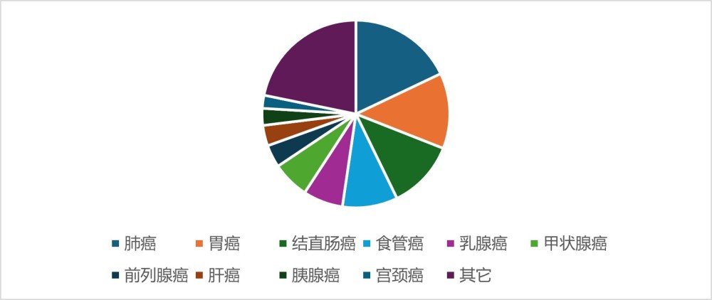 "扬州市发布最新肿瘤监测报告：肿瘤占比居首位，特别是肺癌令人关注"