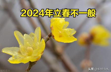 2024年立春：三个特殊的农谚启示您深入了解农业历史与文化