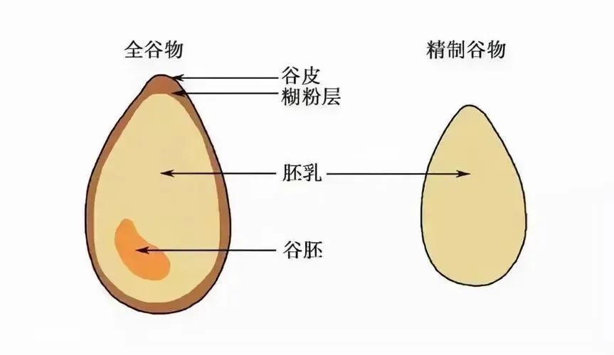 "世卫公布：7项实用建议，助您成功防范大部分癌症"