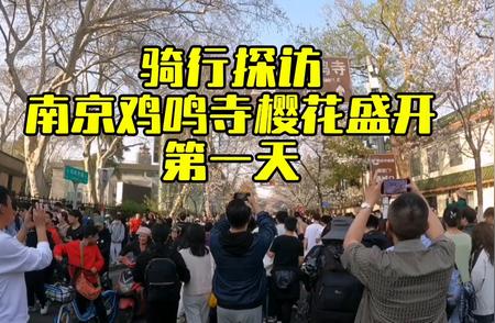 2024年3月22日南京鸡鸣寺樱花全面绽放，最佳观赏期已至！