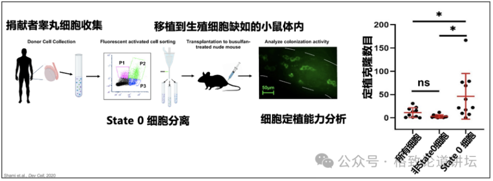 "深入剖析：不孕不育与性别角色认知的关联性<br>作为一名专业的网络，我深信一个事实：无论男女，任何可能导致不孕不育的原因都是复杂的，而女性在其中扮演着重要的角色。然而，对于许多男性来说，他们可能并没有充分理解女性不孕不育的问题。<br>据世界卫生组织的数据，全球有近2亿人处于不孕不育的状态。这是一个涉及生育能力的所有方面的问题，包括男性的生殖健康、精子质量、精子数量和活动力等。在女性方面，主要问题是排卵障碍和子宫内膜异位症。<br>这意味着，尽管男性和女性都可能存在某些原因导致不孕不育，但它们的根源往往取决于特定的性别角色刻板印象和缺乏对性功能健康的充分理解和认识。<br>因此，我们需要向所有男性传达这样一个信息：女性并非不孕不育的主要受害者，而是背后的重要支持者。女性可以贡献她们的劳动力、照顾子女以及照顾其他家庭成员的能力，这些都是男性无法或不愿意做到的。<br>让我们一起提高男性对女性不孕不育问题的认识，使我们更愿意采取积极的措施来解决这个问题。只有这样，我们才能真正实现性别平等，让每个生命都有其应有的价值。