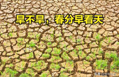 预知雨水，即知节气：2024年的春分，你知道这个时节会有多少降雨吗?