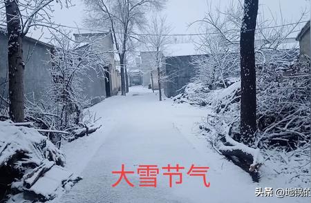 2024年天气预报：旱涝之谜与雪季农谚解读