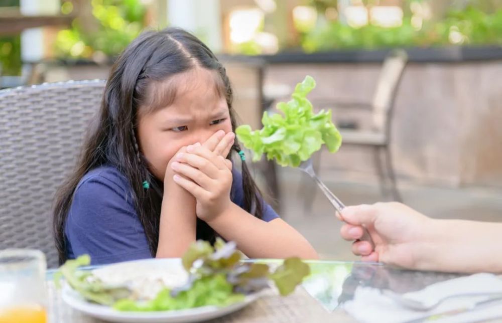 "如何处理孩子不规律的饮食习惯？"