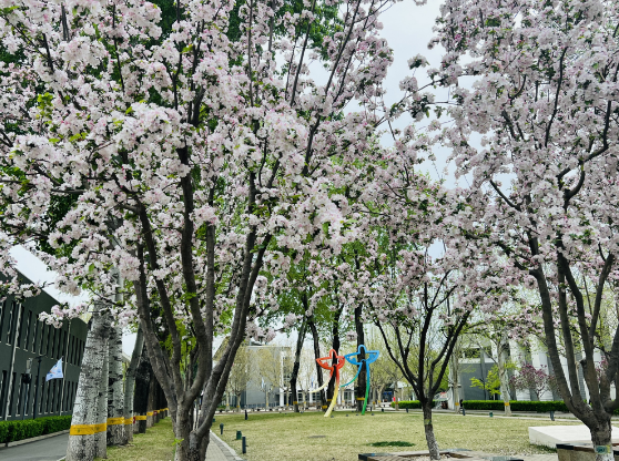 "母亲新旅程：我如何从一名普通女性逆袭成为海淀区优质妈妈"