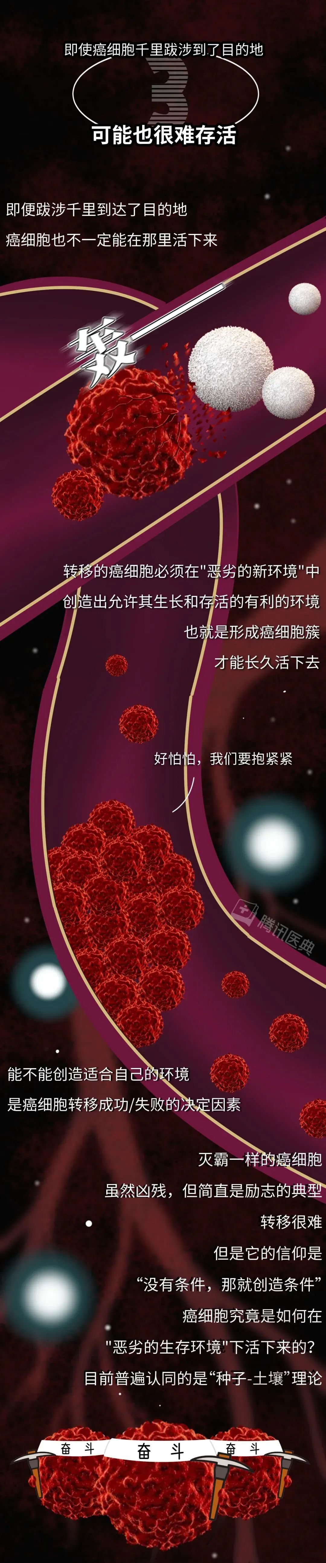 "晚期癌症背后的‘杀人’过程：揭示网络中的真相与谣言"