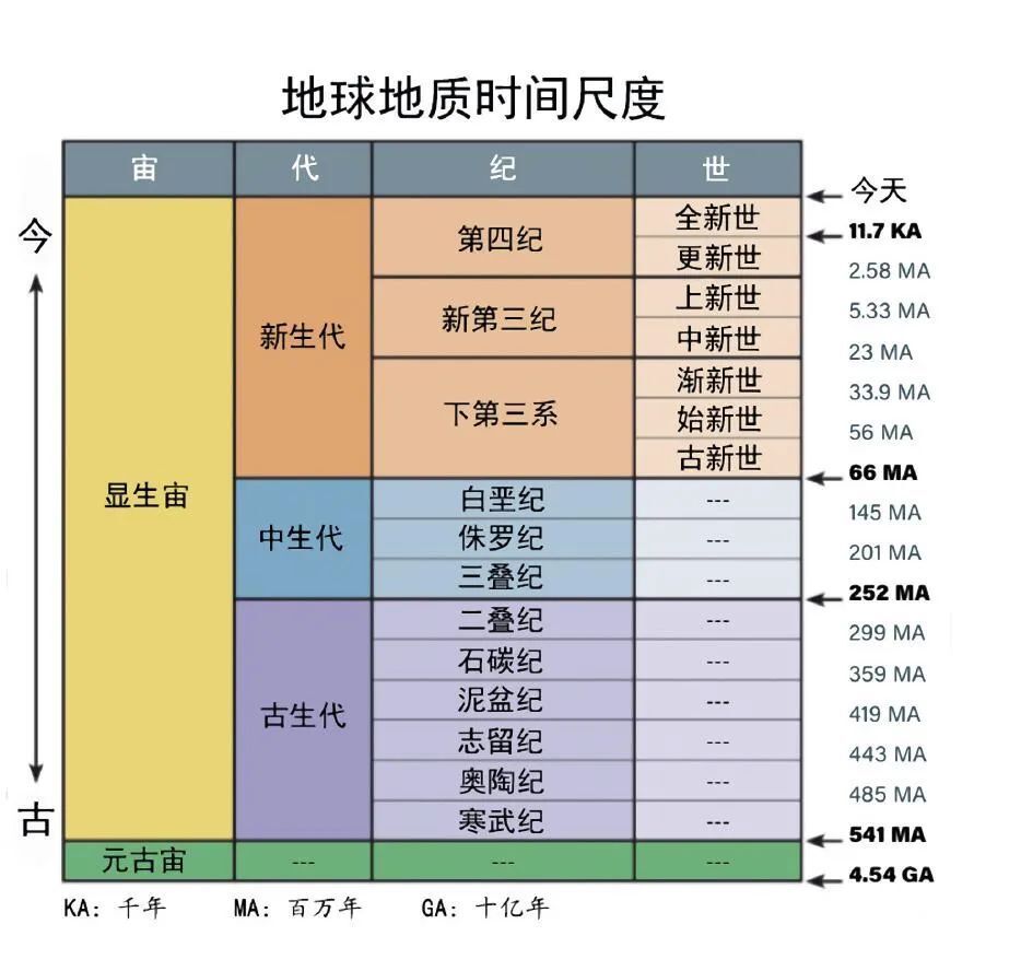 "理解宇宙的神奇视角：透视地球在浩渺星海中的存在"