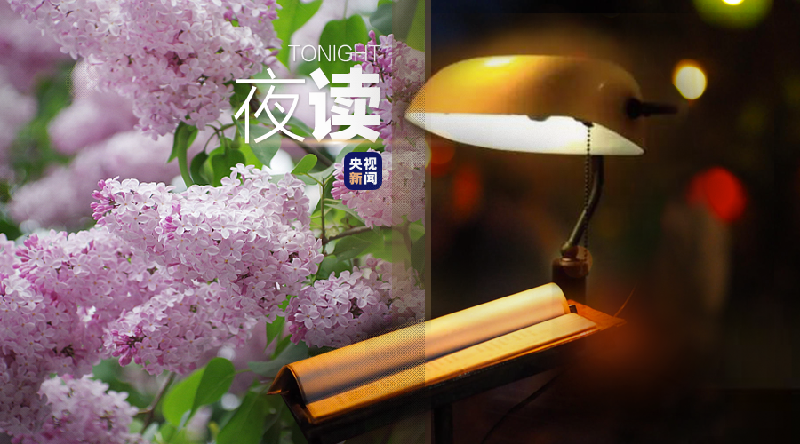 "「深夜读书：讲述我最爱的丁香花」"