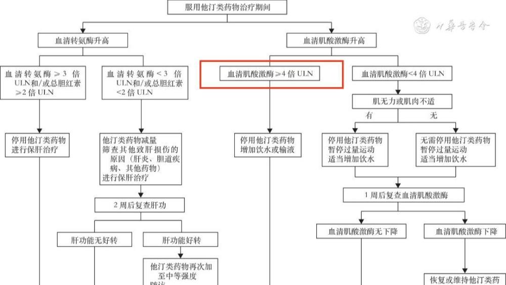 "立即停止服用阿托伐他汀钙，以免出现这4种异常情况！"