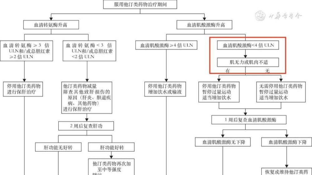 "立即停止服用阿托伐他汀钙，以免出现这4种异常情况！"