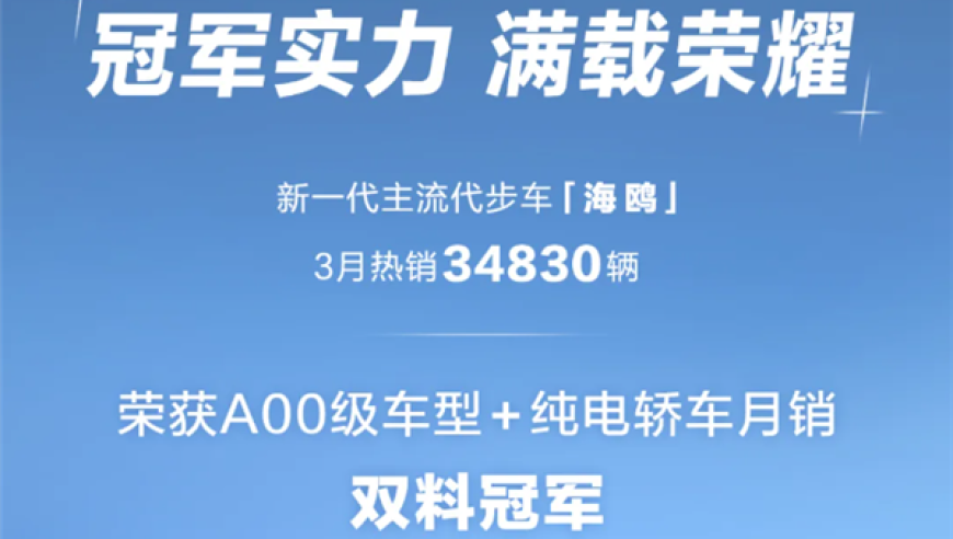 比亚迪海鸥凭借出色续航，成为A00级市场新宠；纯电轿车月销冠头，让比亚迪海鸥独领风骚