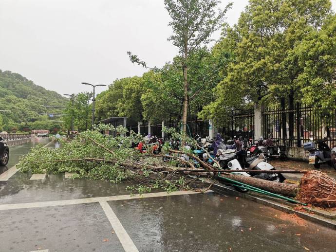 "江西再现如台风般强烈对流：南方多地频现新生对流"

这段话已经很简洁明了，但是可以稍微修改一下来提升吸引力。例如："直击江西省！暴雨袭城，南方多地罕见新生对流现象凸显" 或者 "江西再次上演堪称台风级别的强烈对流风暴，南方多地已频现新生对流景象"