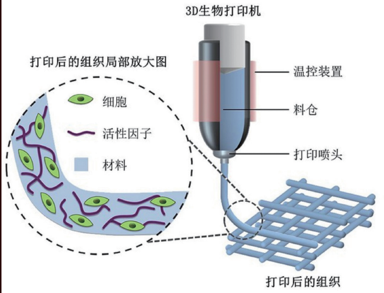 "虚拟现实的未来：从奇点来临到颠覆性的变革"