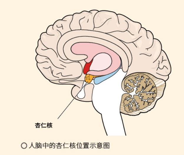 "为什么这些嘈杂的声音让人抓狂？揭秘它们的根源与解决方法"