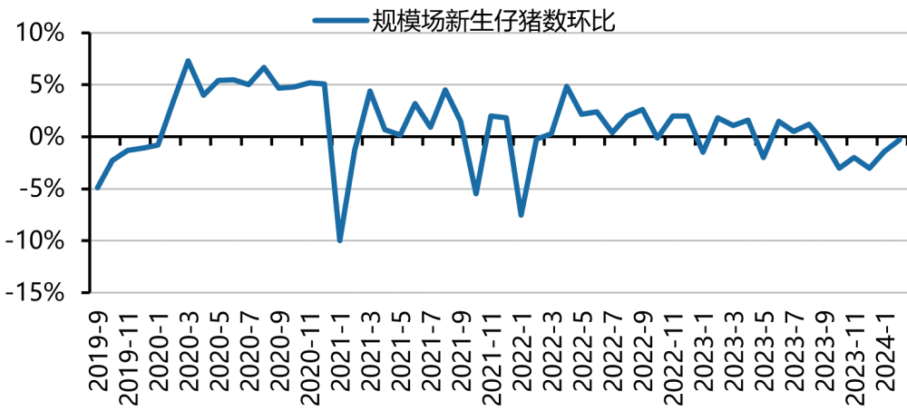 "策略引导：掌握猪周期节奏的关键技巧"