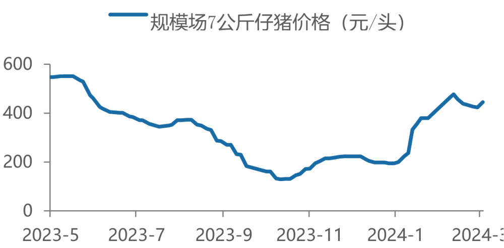 "策略引导：掌握猪周期节奏的关键技巧"