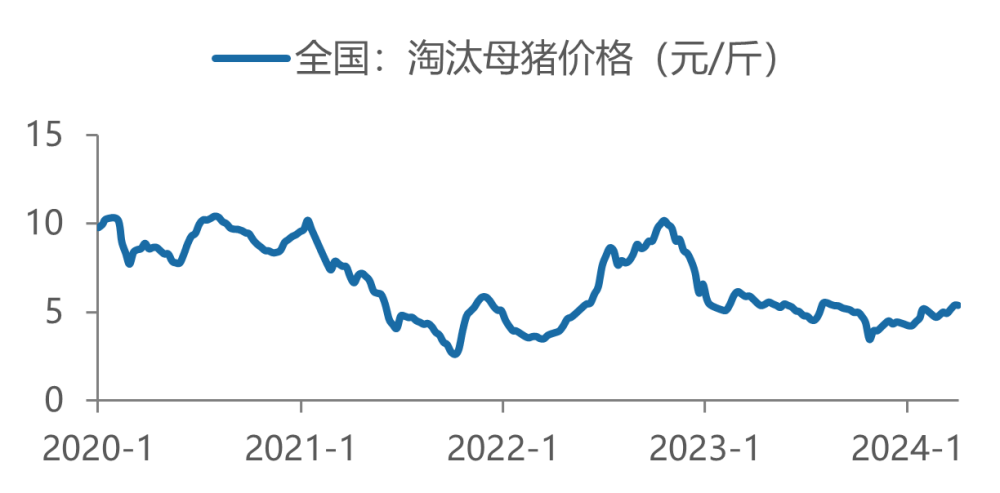 "策略引导：掌握猪周期节奏的关键技巧"