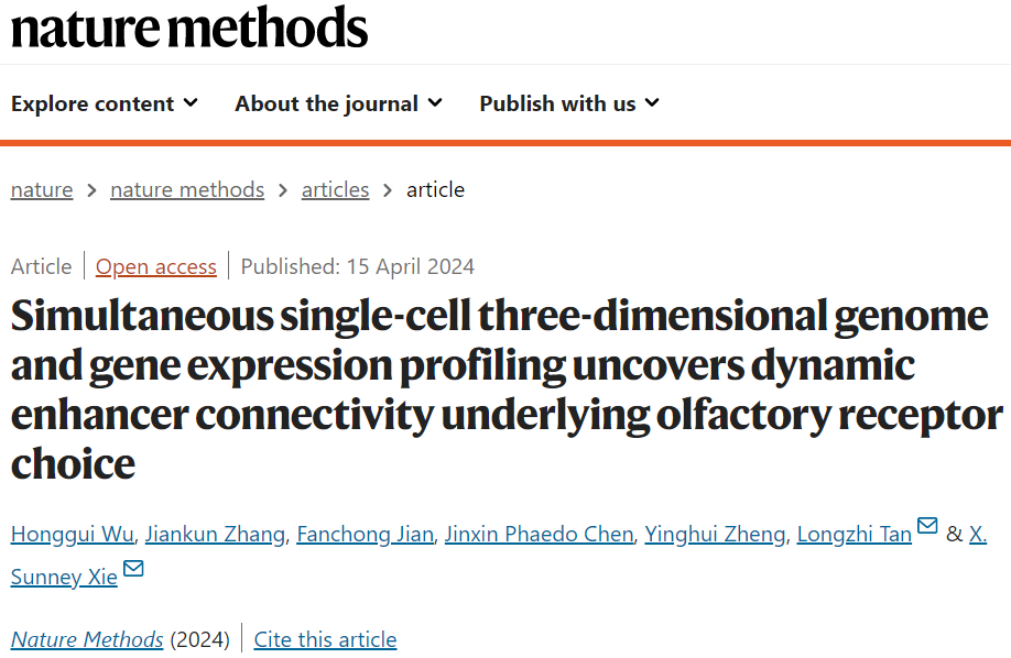 "北京大学科研团队解析嗅觉受体如何在单细胞三维基因组和基因表达中表现动态过程"
