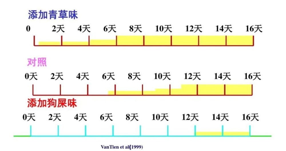 "棕熊学识：试一试人类能品尝到的最贵蜂蜜吗？动物也可察觉美食品味的细微差异！"