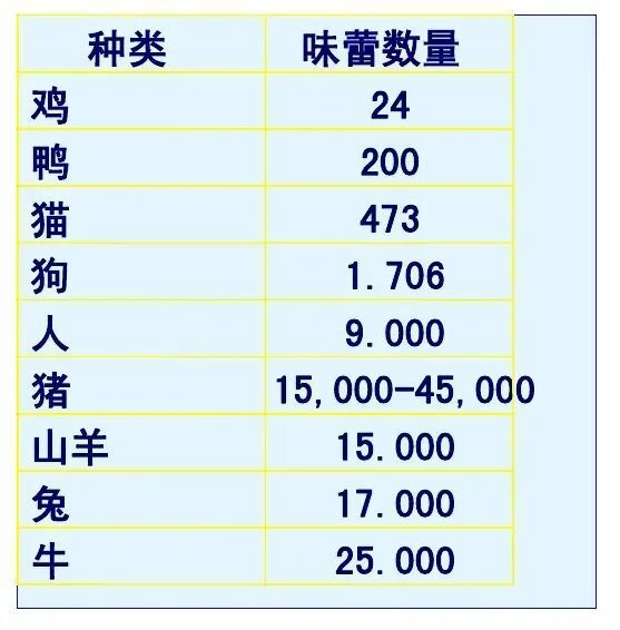 "棕熊学识：试一试人类能品尝到的最贵蜂蜜吗？动物也可察觉美食品味的细微差异！"