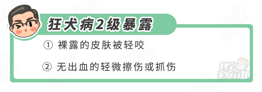 "孩子被狗舔一口：是否需要接种狂犬疫苗？详细解答"