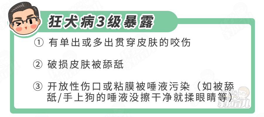 "孩子被狗舔一口：是否需要接种狂犬疫苗？详细解答"