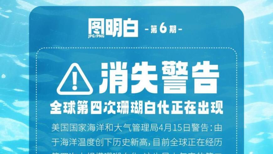 全球第四次大规模珊瑚白化警示：你是否知道这对我们海洋生态的影响？