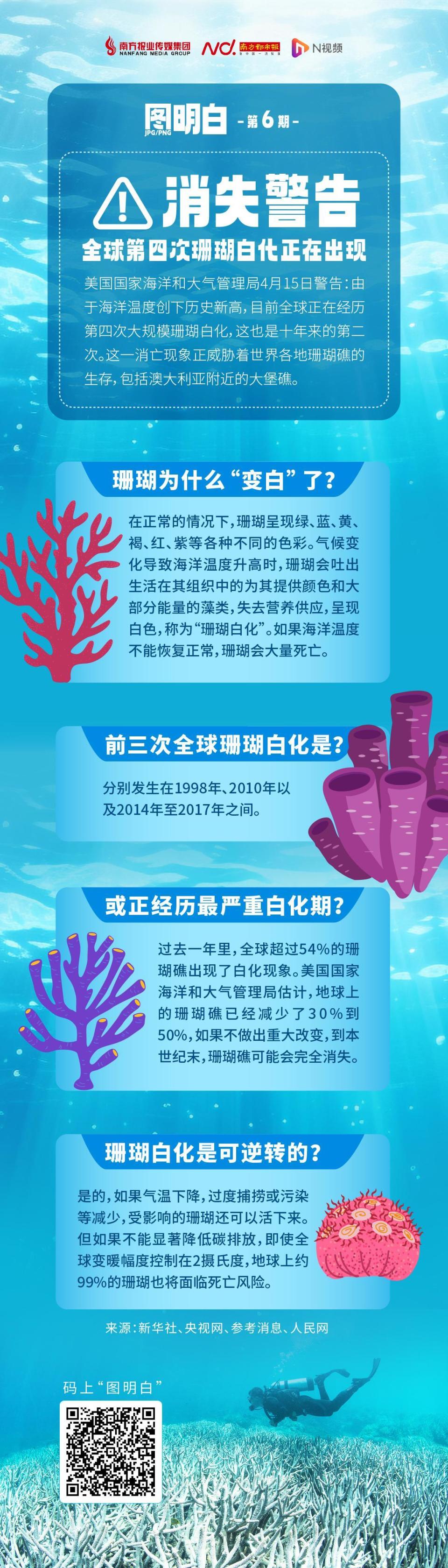 "全球第四次大规模珊瑚白化警示：你是否知道这对我们海洋生态的影响？"