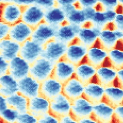 "新型量子晶体揭示：完全电子构成，首次在普林斯顿大学进行的实验观测"