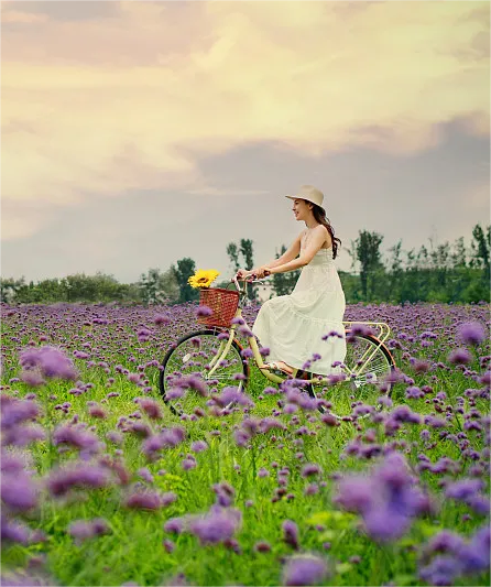 "绝顶高手：石楠花的花语解析，你真的不知道它竟然有这层寓意!"