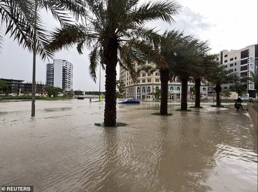 "迪拜经历一年半大暴雨，人民全力抗洪，挑战重重但求生存"