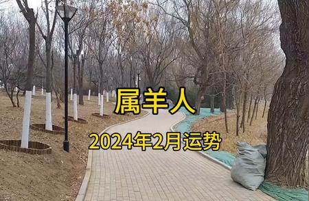 2024年2月，你的生肖属羊的运势预测与调整策略