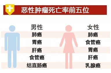 "河南人的健康秘密：2023年河南省肿瘤登记年报揭示致癌因素"