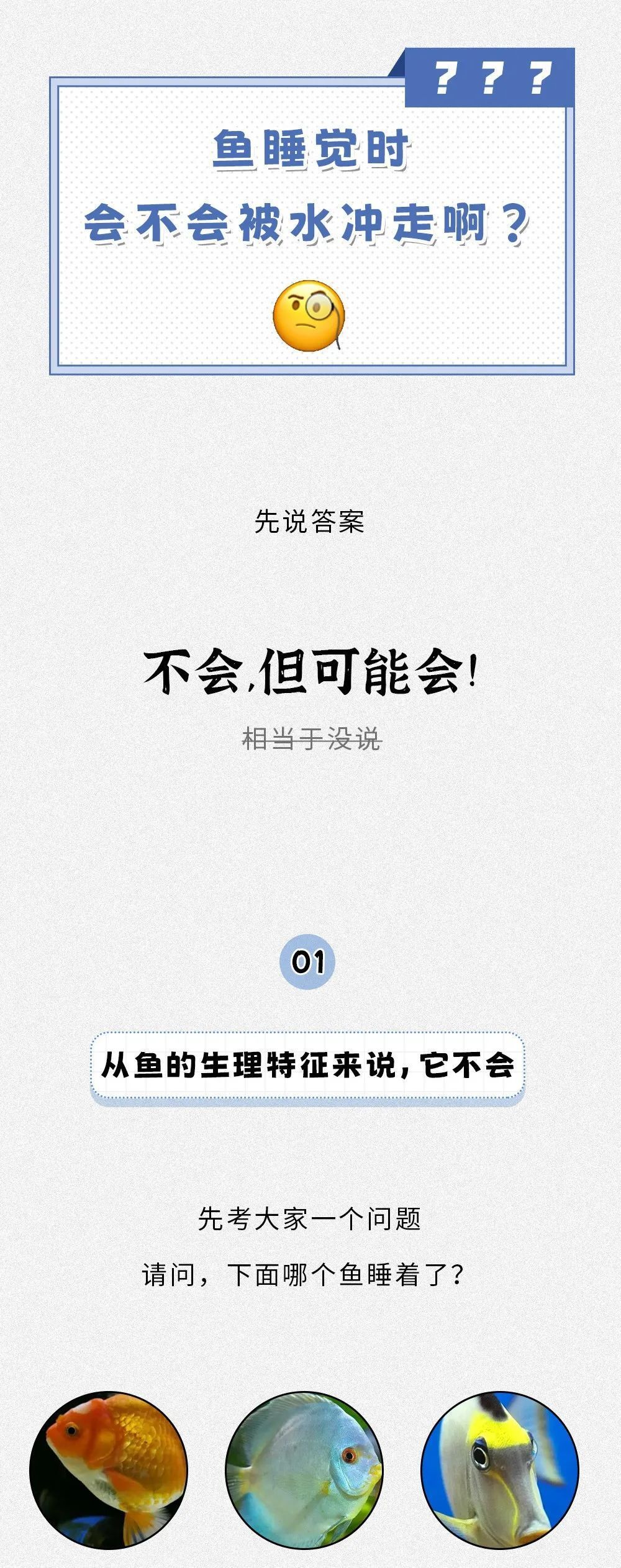 鱼睡觉时会被水冲走吗？沙雕的知识增加了！！