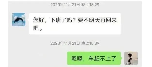 "曾见家庭和睦，未见家庭融洽：看看这幅温馨画卷如何惊艳众人吧！"