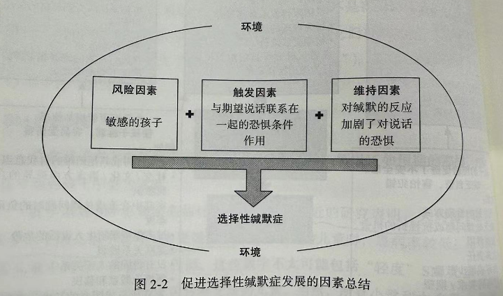 "儿子在陌生人面前不敢说话：遭两所学校拒之门外的尴尬经历"