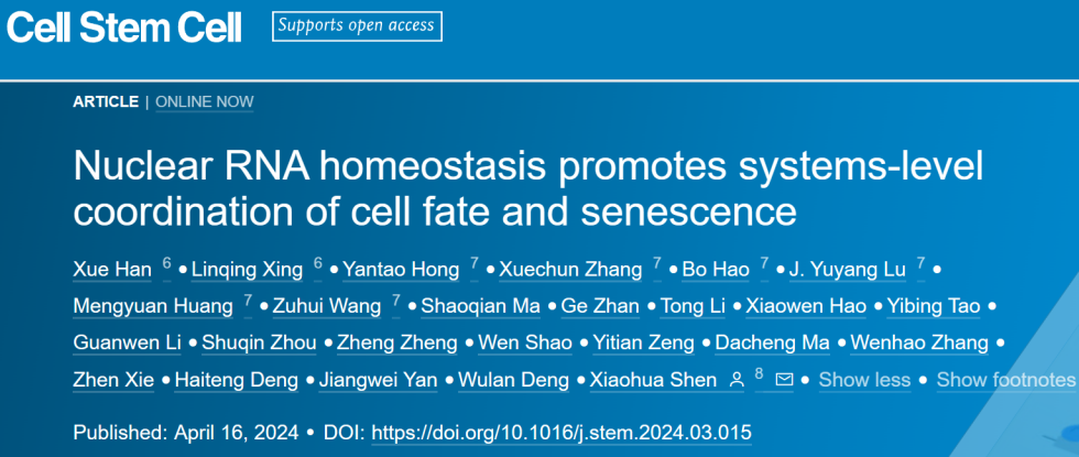 "清华大学沈晓骅团队揭示细胞核RNA稳态系统协调功能与延缓衰老的全新机制"