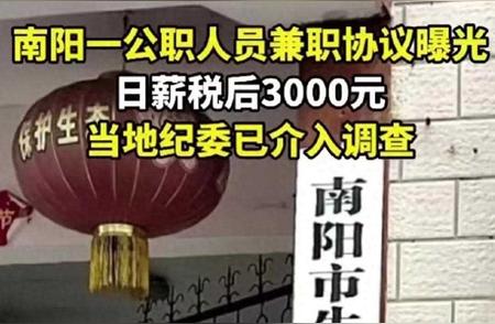 河南南阳公务员凭技术日薪3000因纪委反对而面临暂停工作风险