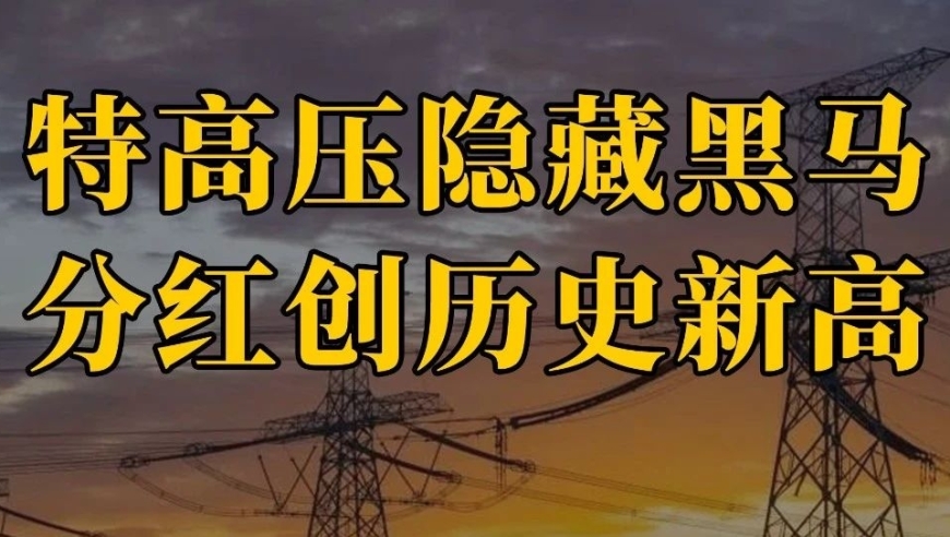 特高压行业隐形冠军：存货周转率第一，订单猛增16亿，分红创历史新高